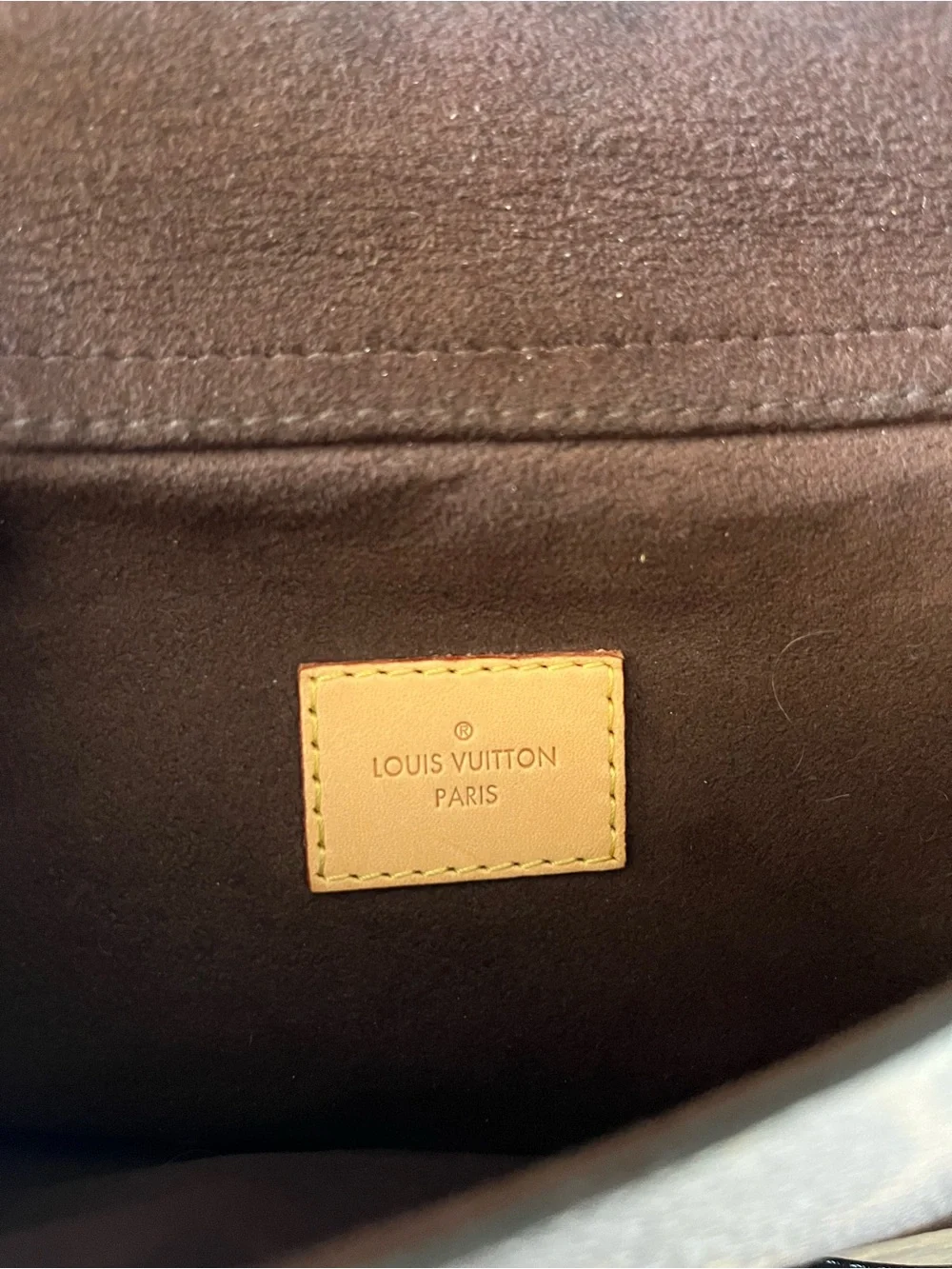 Louis Vuitton Metis Hobo in Monogram Canvas